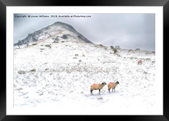 High Hartsop Dodd, Cumbria Framed Mounted Print by Linsey Williams