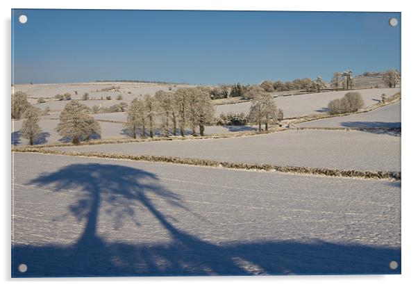Snowy farm fields Acrylic by Pete Hemington