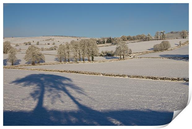 Snowy farm fields Print by Pete Hemington