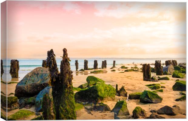 Sunset Beach Scene  Canvas Print by Kieran Pearce