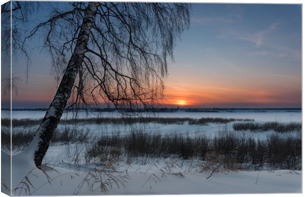 The setting sun on a frosty evening Canvas Print by Dobrydnev Sergei