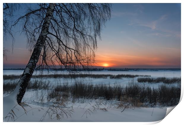 The setting sun on a frosty evening Print by Dobrydnev Sergei