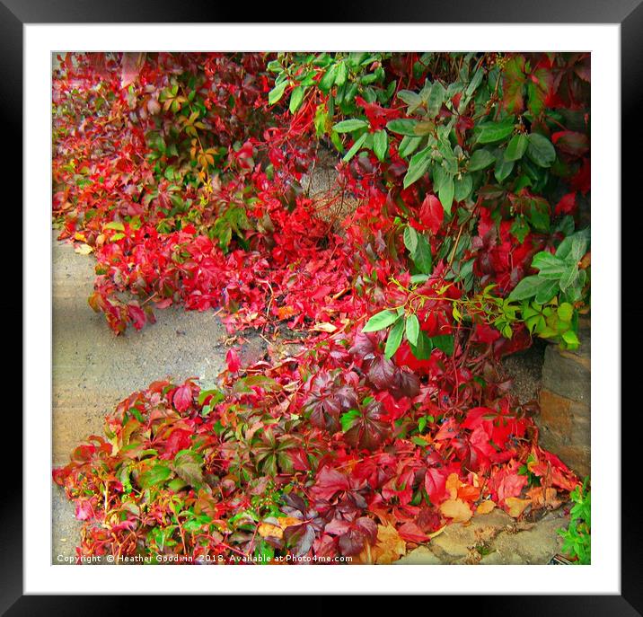 A Cascade of Leaves Framed Mounted Print by Heather Goodwin