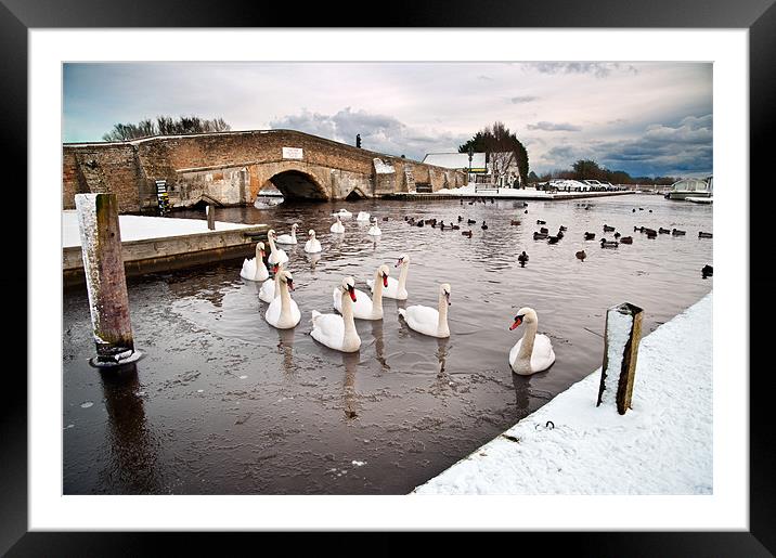 Ice and swan Framed Mounted Print by Stephen Mole