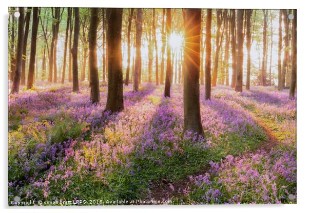 Bluebell forest path at sunrise Acrylic by Simon Bratt LRPS
