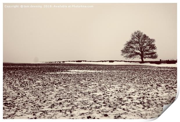 The Tree in the mist Print by tom downing