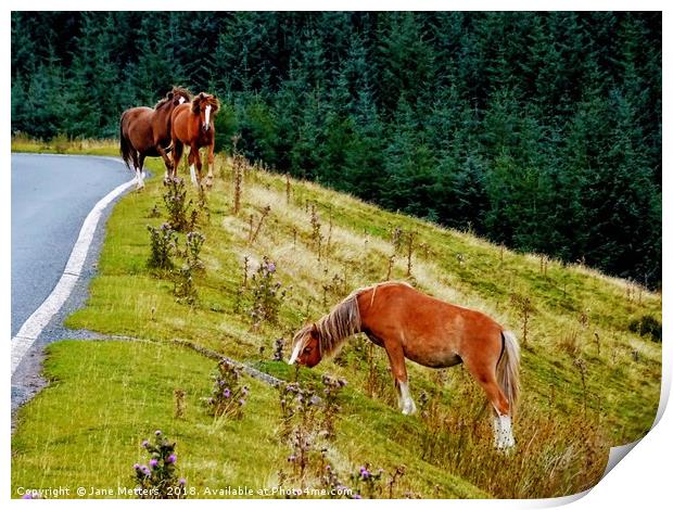 Horses on the Brecon Beacons Print by Jane Metters