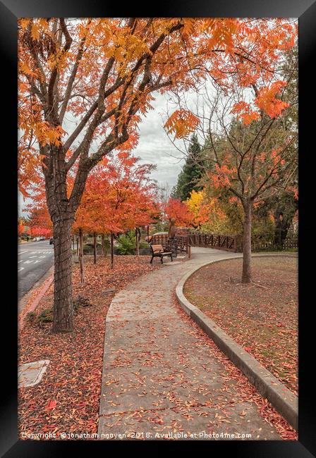 Yountville in Autumn Framed Print by jonathan nguyen