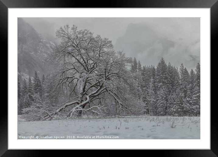 Yosemite Winter  Framed Mounted Print by jonathan nguyen