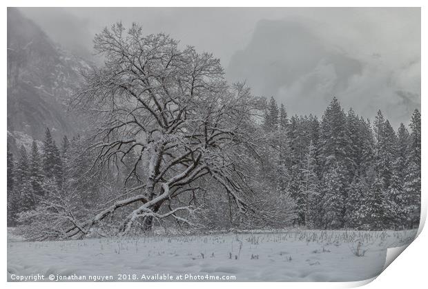 Yosemite Winter  Print by jonathan nguyen