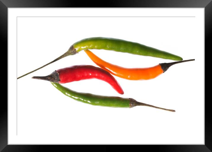 Chilli Mix 2 Framed Mounted Print by Steve Purnell