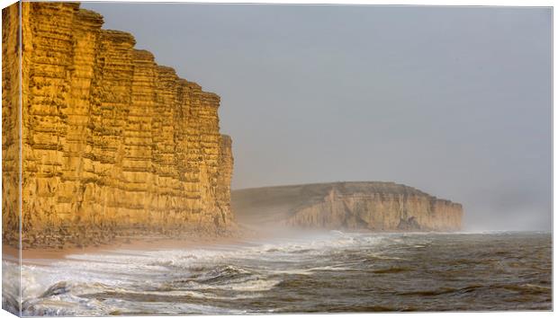 West Bay's East Cliff.  Canvas Print by Mark Godden