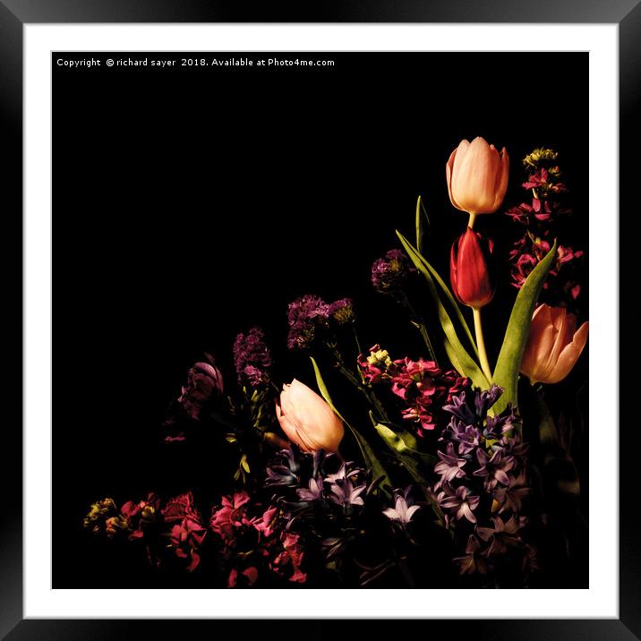 Blissful Blooms Framed Mounted Print by richard sayer