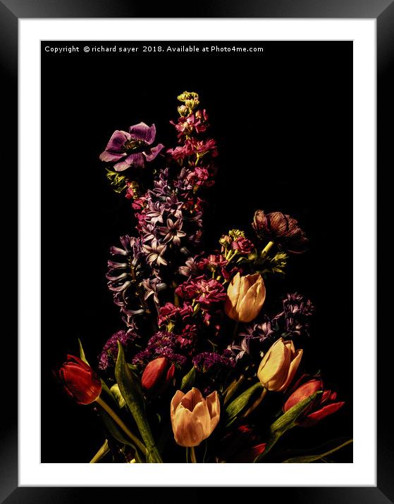 Blooming Spring Delight Framed Mounted Print by richard sayer