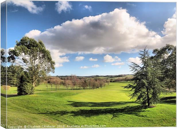 A fairway to the eighteenth hole Canvas Print by Elizabeth Chisholm