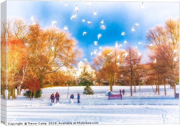 Snow Fun in the Park Canvas Print by Trevor Camp