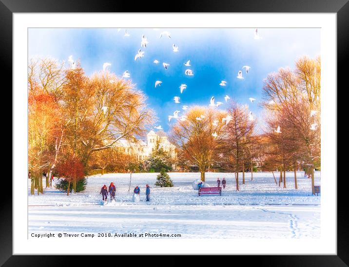 Snow Fun in the Park Framed Mounted Print by Trevor Camp