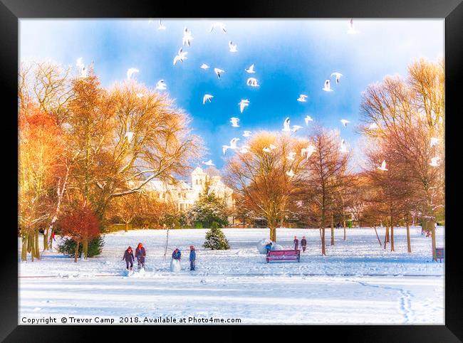 Snow Fun in the Park Framed Print by Trevor Camp