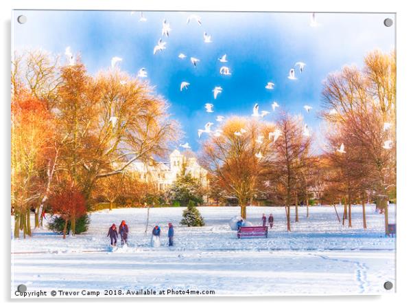 Snow Fun in the Park Acrylic by Trevor Camp