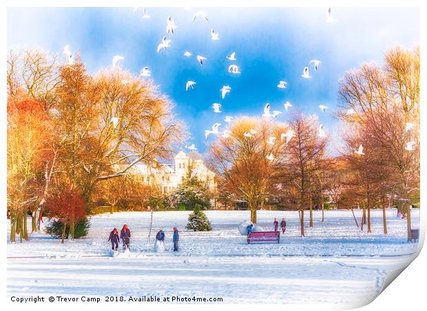 Snow Fun in the Park Print by Trevor Camp