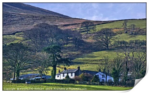 "Midday Winter sun on Loweswater Village" Print by ROS RIDLEY