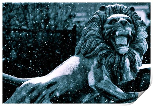 Lion Of Winter Print by Chris Manfield