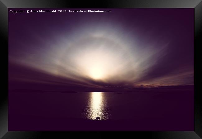 Shetland Pony And Sun Halo Framed Print by Anne Macdonald