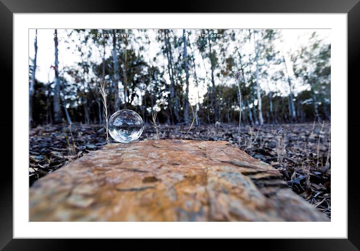 The forest in the crystal ball Framed Mounted Print by Juan Ramón Ramos Rivero