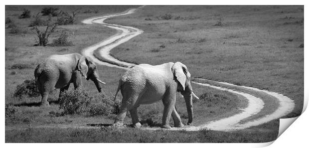 Two elephants stroll past a winding road Print by Sue Hoppe