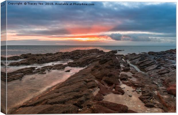 Shoalstone Sunrise. Canvas Print by Tracey Yeo