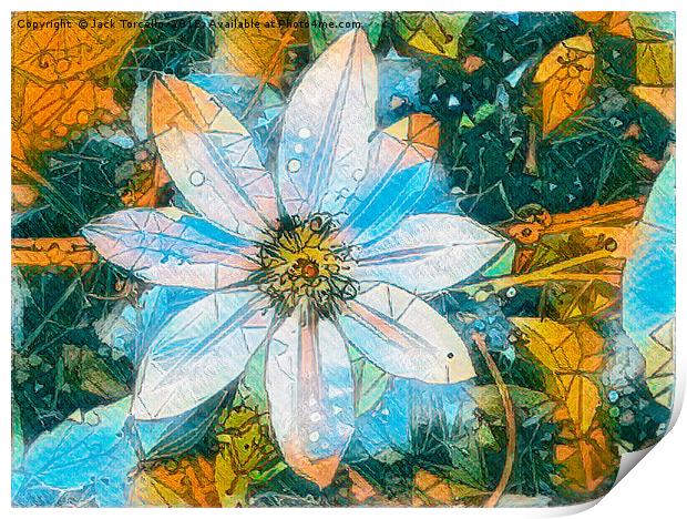 Bejewelled Clematis IV Print by Jack Torcello