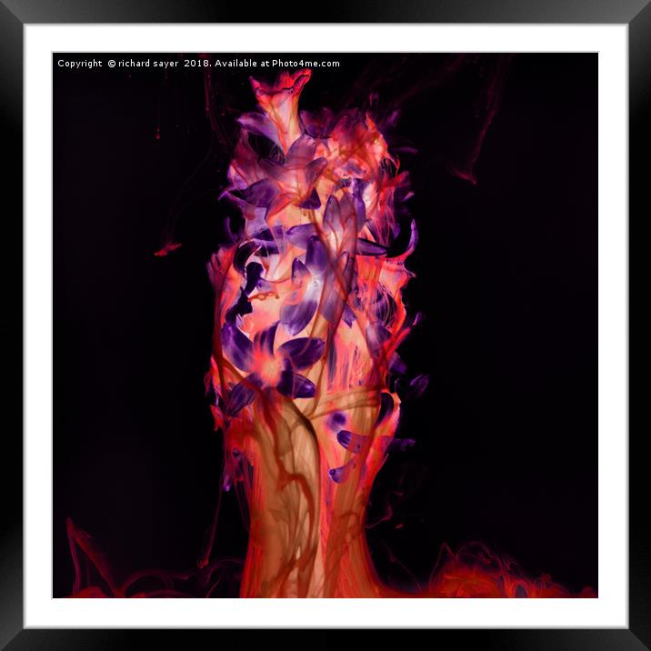Flamenco Glow Framed Mounted Print by richard sayer