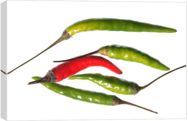 Odd Chilli Out Canvas Print by Steve Purnell