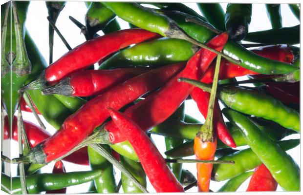 Chilli Riot Canvas Print by Steve Purnell