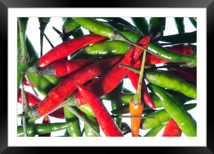 Chilli Riot Framed Mounted Print by Steve Purnell