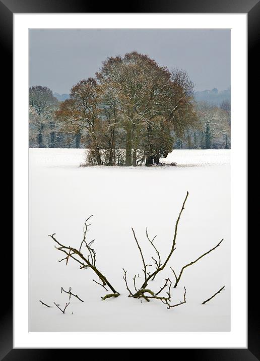Snow field Framed Mounted Print by Tony Bates