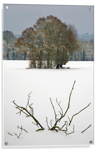 Snow field Acrylic by Tony Bates