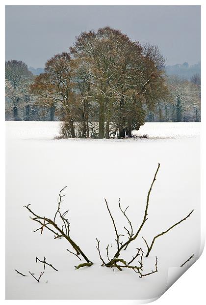 Snow field Print by Tony Bates