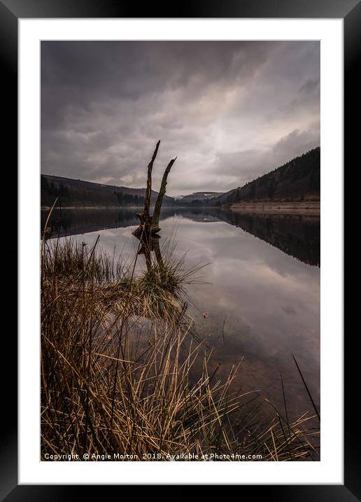 Derwent in Portrait Framed Mounted Print by Angie Morton