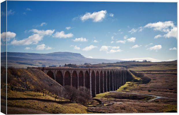 Ribblehead Landscape Canvas Print by David McCulloch