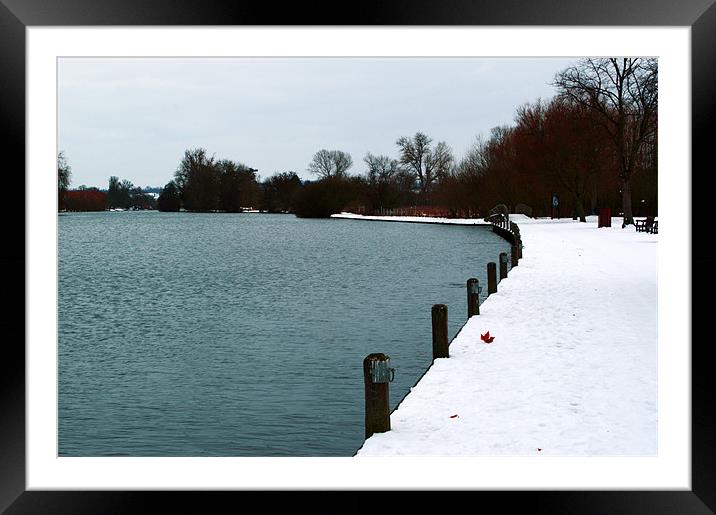 Marlow in the Snow Framed Mounted Print by Chris Day