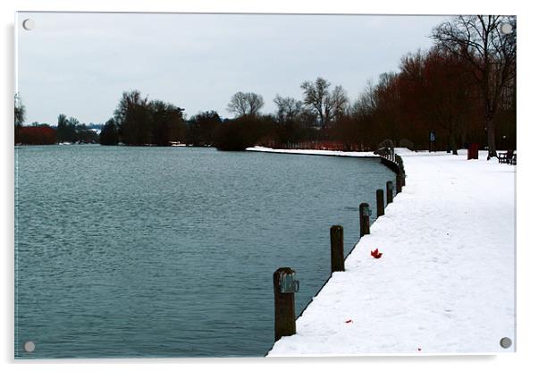 Marlow in the Snow Acrylic by Chris Day