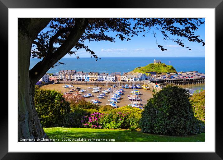 Sunny Ilfracombe Framed Mounted Print by Chris Harris