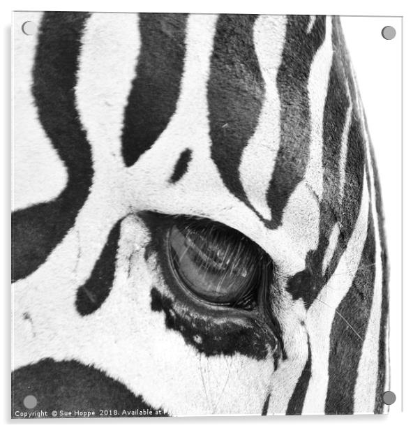 Zebra's Eye Acrylic by Sue Hoppe