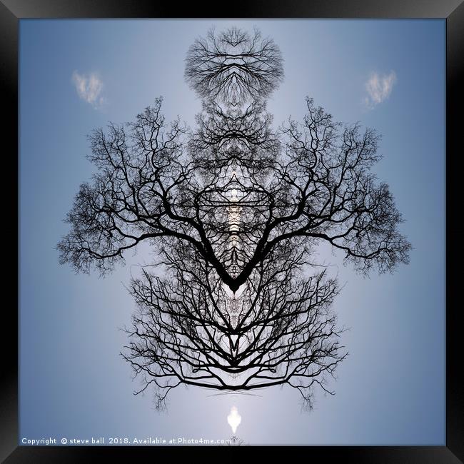 Tree pattern Framed Print by steve ball