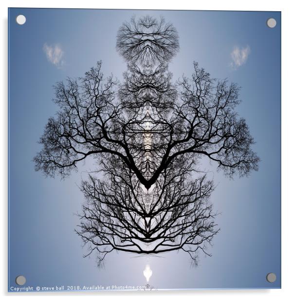 Tree pattern Acrylic by steve ball