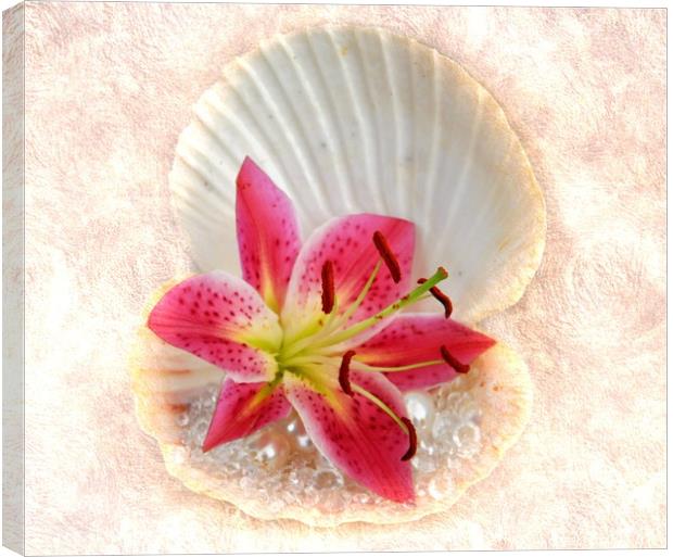 diamonds flowers and pearls Canvas Print by sue davies