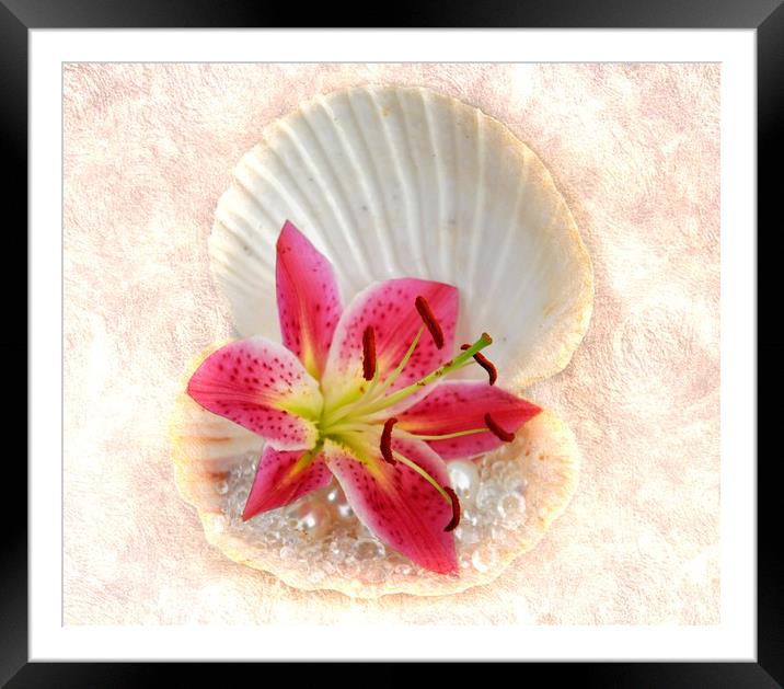 diamonds flowers and pearls Framed Mounted Print by sue davies