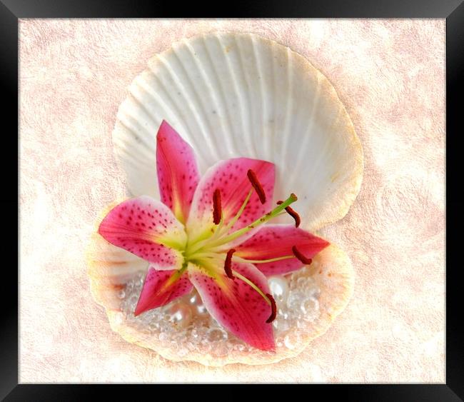 diamonds flowers and pearls Framed Print by sue davies