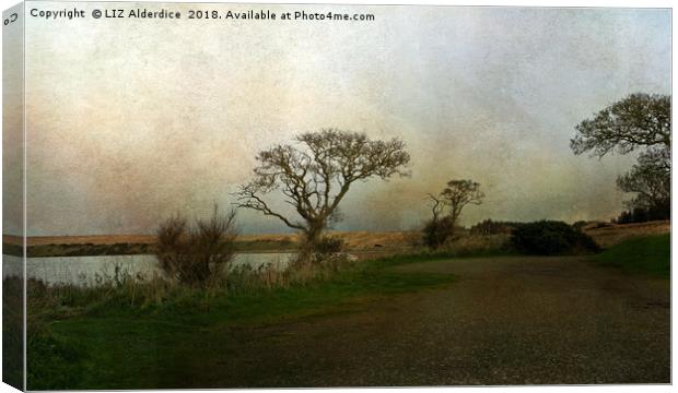 River View near Newburgh  Canvas Print by LIZ Alderdice